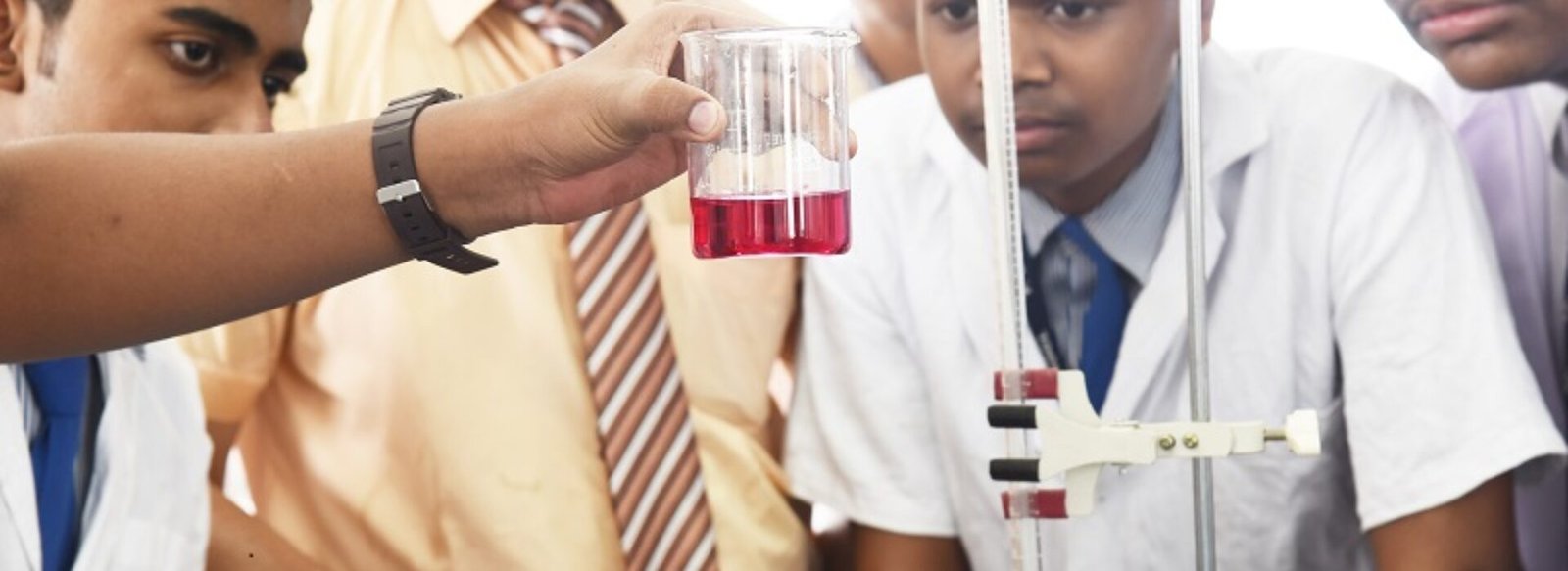 icse school in tollygunge